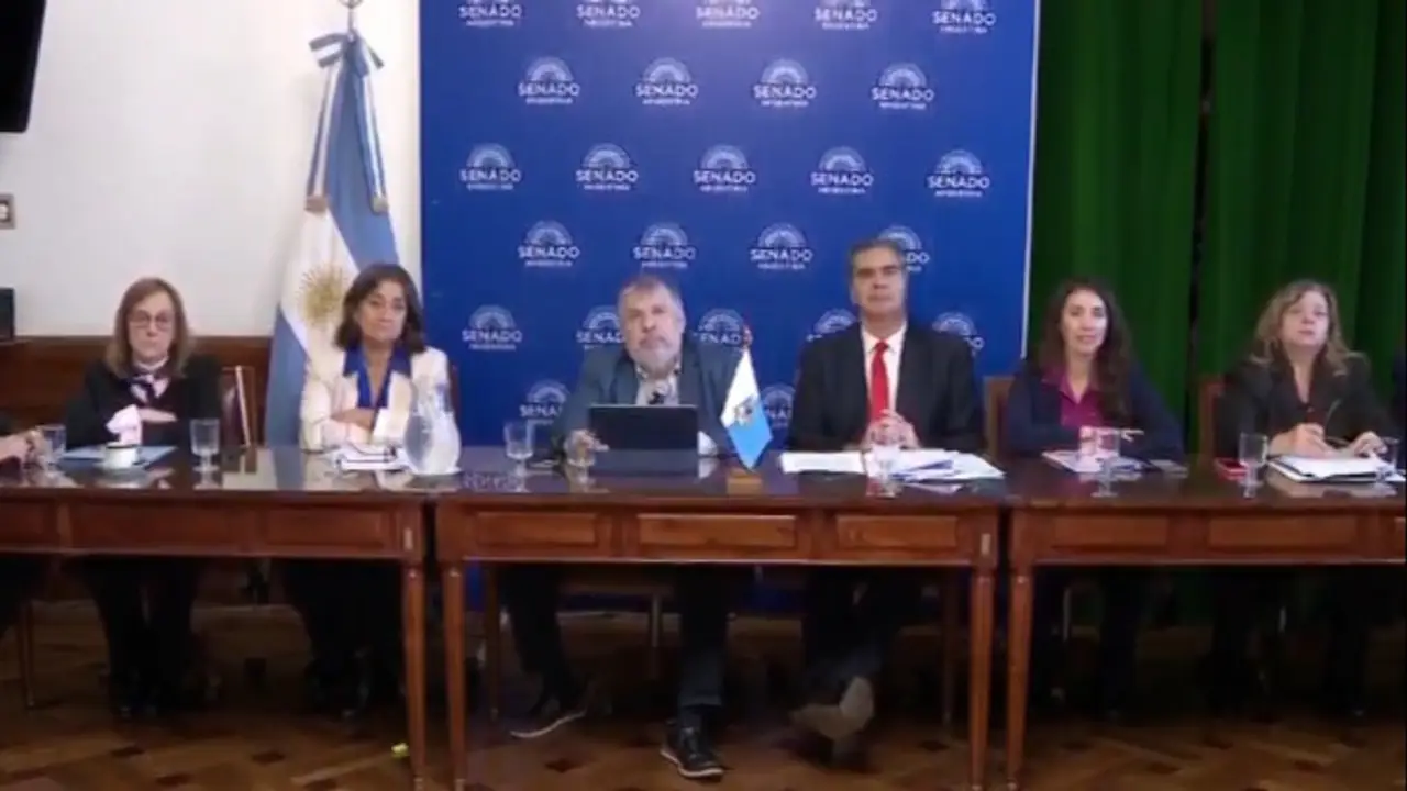 Los senadores peronistas se plantan contra el ajuste de Milei y buscan establecer una tarifa diferencial en el Norte Grande