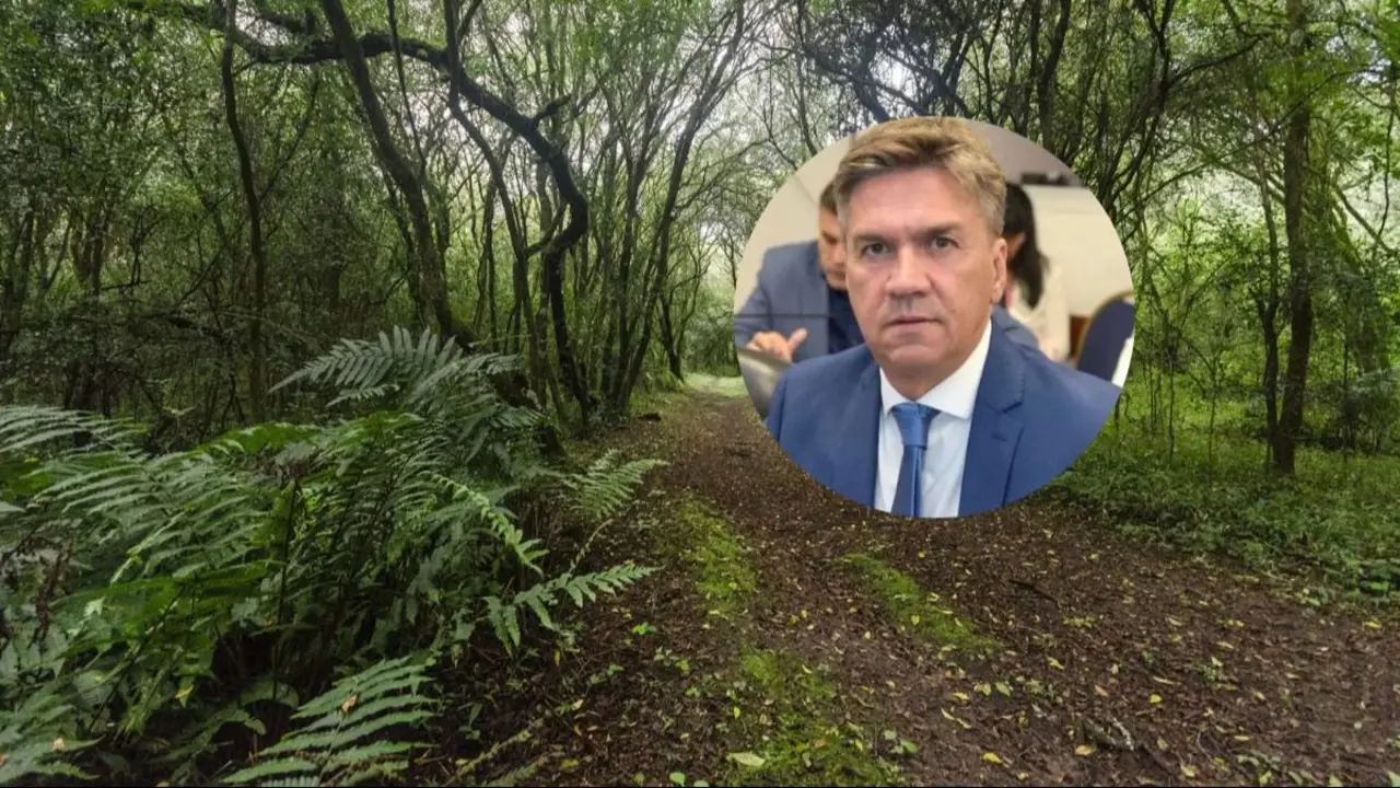 Ley de Bosques: mientras Zdero se alinea con Milei, ambientalistas alertan por desmontes en Chaco