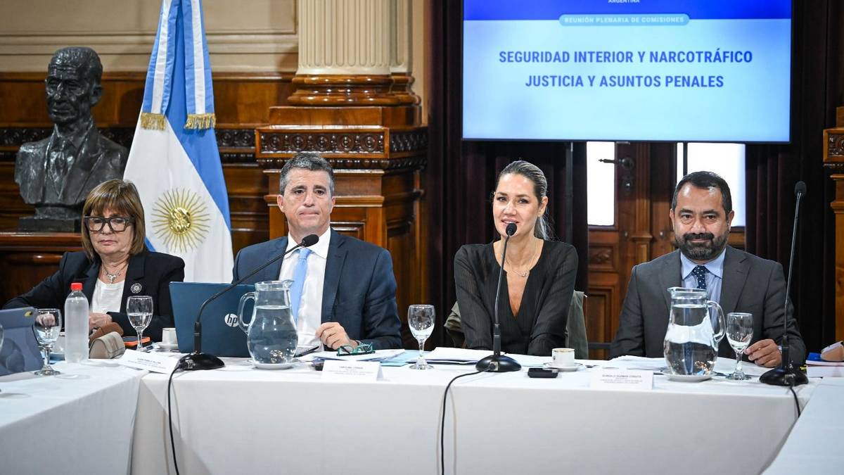 El Gobierno avanza con el proyecto de falsas denuncias en el Congreso