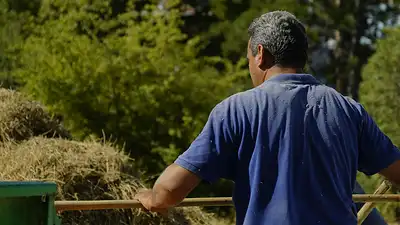 Trabajadores rurales Trabajadores rurales