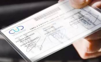 El fin de la compatibilidad: por qué los monotributistas perderían su pensión por discapac | Discapacidad