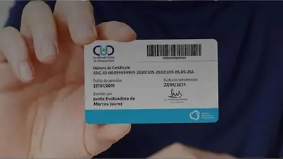 Cómo viajar gratis en colectivo con el CUD en Buenos Aires: el paso a paso Cómo viajar gratis en colectivo con el CUD en Buenos Aires: el paso a paso
