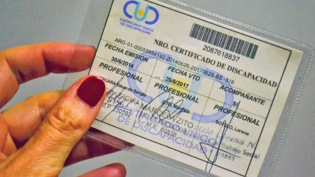 Discapacidad: largas filas en Anses para vincular la SUBE con el CUD