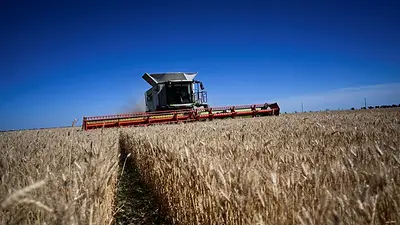 Las previsiones de un fuerte fenómeno de El Niño avivan la preocupación por las cosechas mundiales Las previsiones de un fuerte fenómeno de El Niño avivan la preocupación por las cosechas mundiales