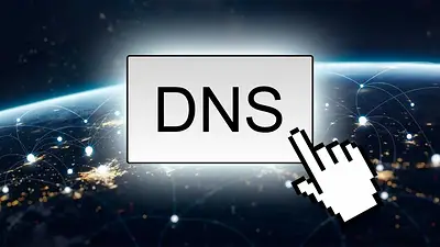DNS DNS