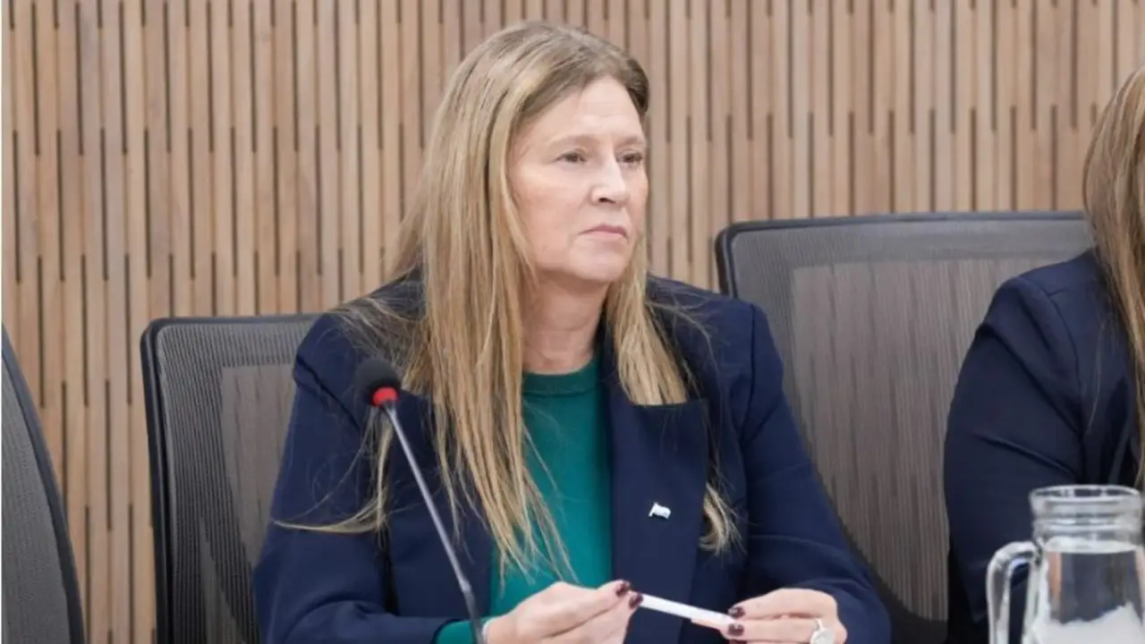 Desde La Rioja impulsan tarifas eléctricas diferenciales para el Norte Grande en el Congreso