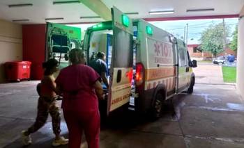 Horror en Misiones: un nene fue atacado por siete perros mientras jugaba en su casa | Misiones