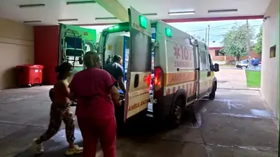 Horror en Misiones: un nene de 7 años fue atacado por siete perros mientras jugaba en su casa Horror en Misiones: un nene de 7 años fue atacado por siete perros mientras jugaba en su casa