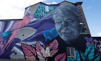 Celebraciones del centenario de David Attenborough comienzan con un repaso a "La vida en la Tierra" | Gente