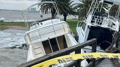 Un violento temporal de viento en Punta del Este terminó con el sacrificio de una orca y yates encallados Un violento temporal de viento en Punta del Este terminó con el sacrificio de una orca y yates encallados