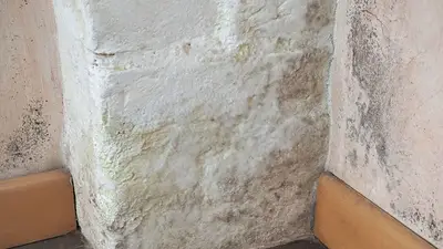 Los albañiles coinciden: "Cuando la pared tiene una grieta de este tamaño, es peligroso" Los albañiles coinciden: "Cuando la pared tiene una grieta de este tamaño, es peligroso"