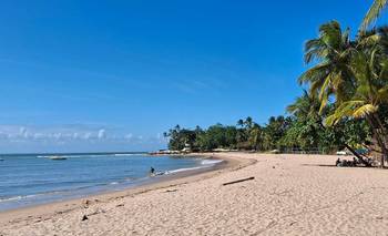 Turismo: récord de argentinos en Brasil para marzo | Sangría de reservas