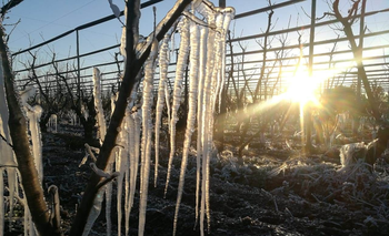 Oficial | Alerta por nuevas heladas en Argentina: ¿Qué dice el pronóstico? | Clima