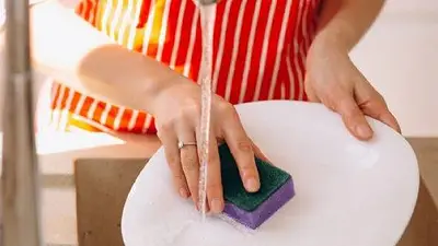 Esponja de cocina. Esponja de cocina.
