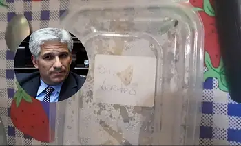Vidrio en la comida: así son las viandas escolares de Poggi en San Luis | Alimentos