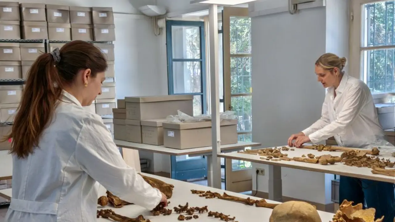 Estudio genómico revela lo que ocurrió tras la caída del Imperio romano