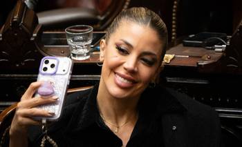 Virginia Gallardo se fue al pasto contra un fotógrafo en el Congreso | Congreso