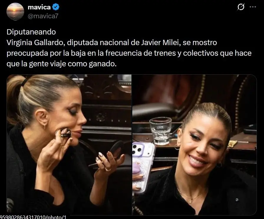 Virginia Gallardo se fue al pasto contra un fotógrafo en el Congreso.