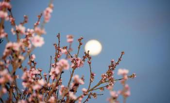 Confirman la primera Luna llena de mayo: cuándo es y a qué hora se verá con plenitud | Luna