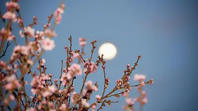 Confirman la primera Luna llena de mayo: cuándo es y a qué hora se verá con plenitud Confirman la primera Luna llena de mayo: cuándo es y a qué hora se verá con plenitud