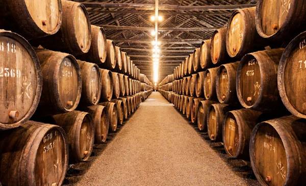 Escapadas con vino: 7 planes de enoturismo para aprovechar el fin de semana largo en Buenos Aires