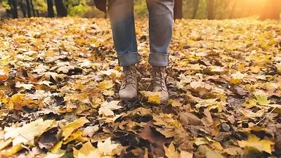 Qué es el wabi-sabi y por qué dejar hojas secas en el jardín puede mejorar tu bienestar. Qué es el wabi-sabi y por qué dejar hojas secas en el jardín puede mejorar tu bienestar.
