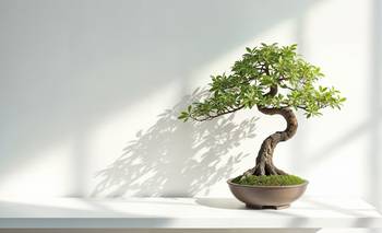 Guía básica de cuidado de bonsái: 5 claves para tener uno en el hogar | Plantas