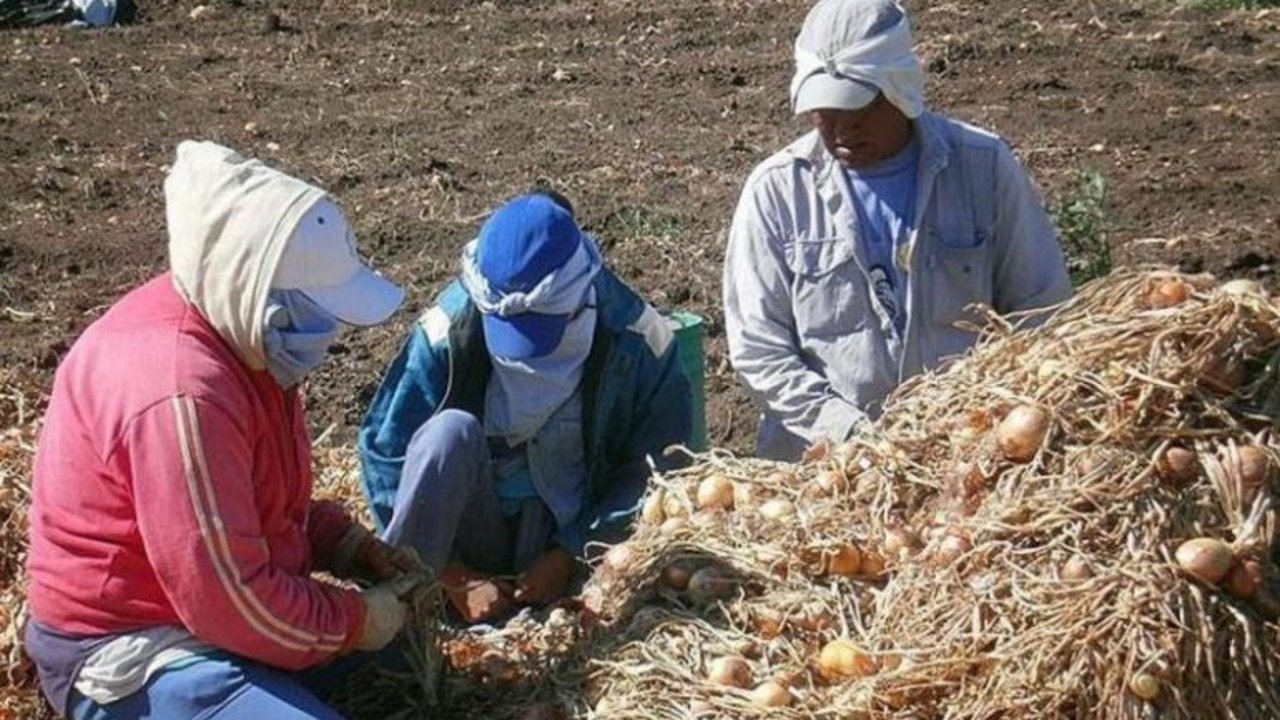 Trata de personas: el trabajo esclavo representa la mitad de las víctimas