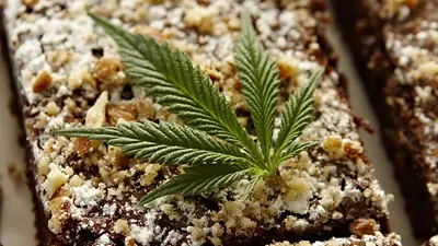 "Brownies locos": intoxicó con marihuana a sus compañeros "Brownies locos": intoxicó con marihuana a sus compañeros