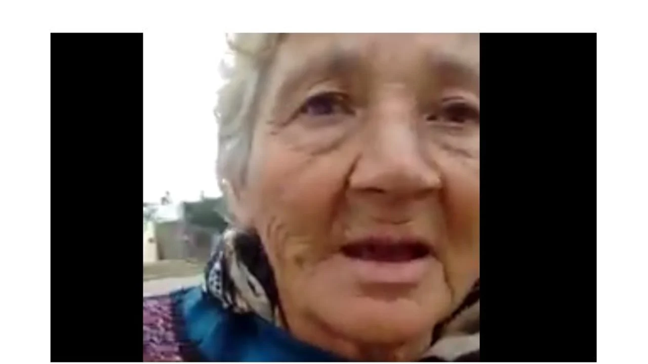 Video: una jubilada junta leña porque no puede pagar el aumento del gas