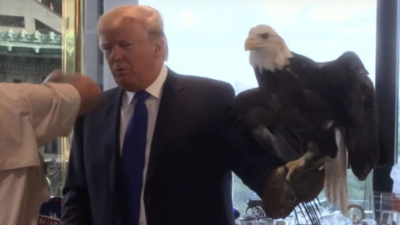 Un ex FMI asegura que Donald Trump puede convertir a los EE.UU. en la Argentina