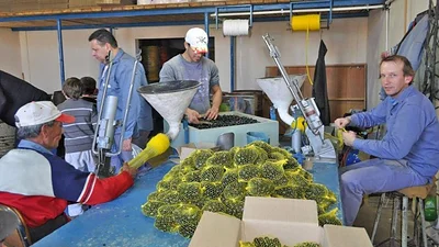 Por el tarifazo, peligra una tradicional empresa de bolitas en Santa Fe Por el tarifazo, peligra una tradicional empresa de bolitas en Santa Fe