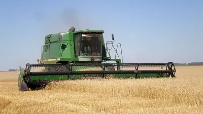 Histórico: Argentina importará trigo por primera vez Histórico: Argentina importará trigo por primera vez