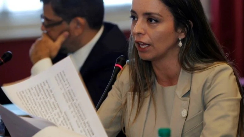 Explotó una inesperada grieta en Cambiemos: la UCR cruzó a Mariana Zuvic