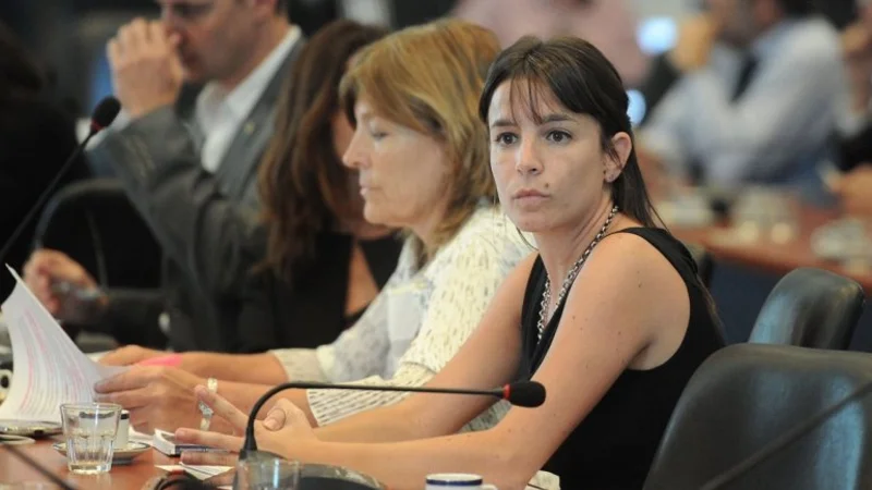 Una diputada del Movimiento Evita destrozó a Fernando Iglesias por misógino
