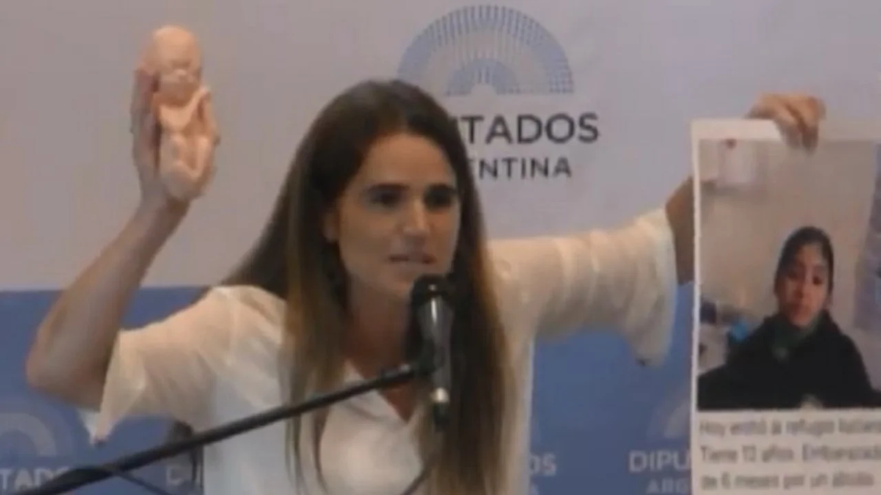 La "mujer del bebito" pidió DNIs para fetos de 12 semanas