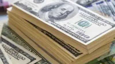 Dólar hoy: cerró la semana con una suba importante y cotizó a $ 46,10 Dólar hoy: cerró la semana con una suba importante y cotizó a $ 46,10