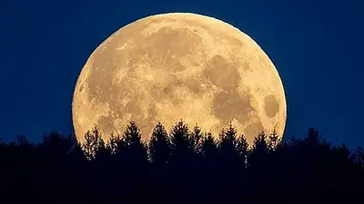 Mirá hoy en vivo la superluna de flores Mirá hoy en vivo la superluna de flores