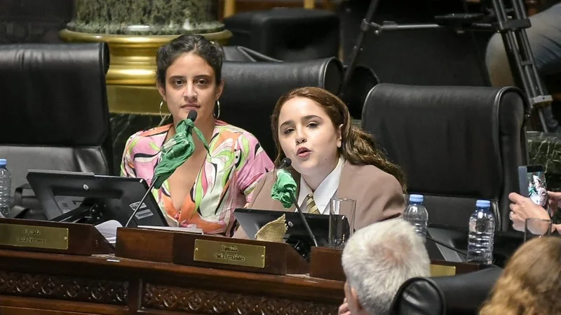 Ofelia Fernández criticó la reglamentación del ILE: "Larreta lo vetó en la práctica"