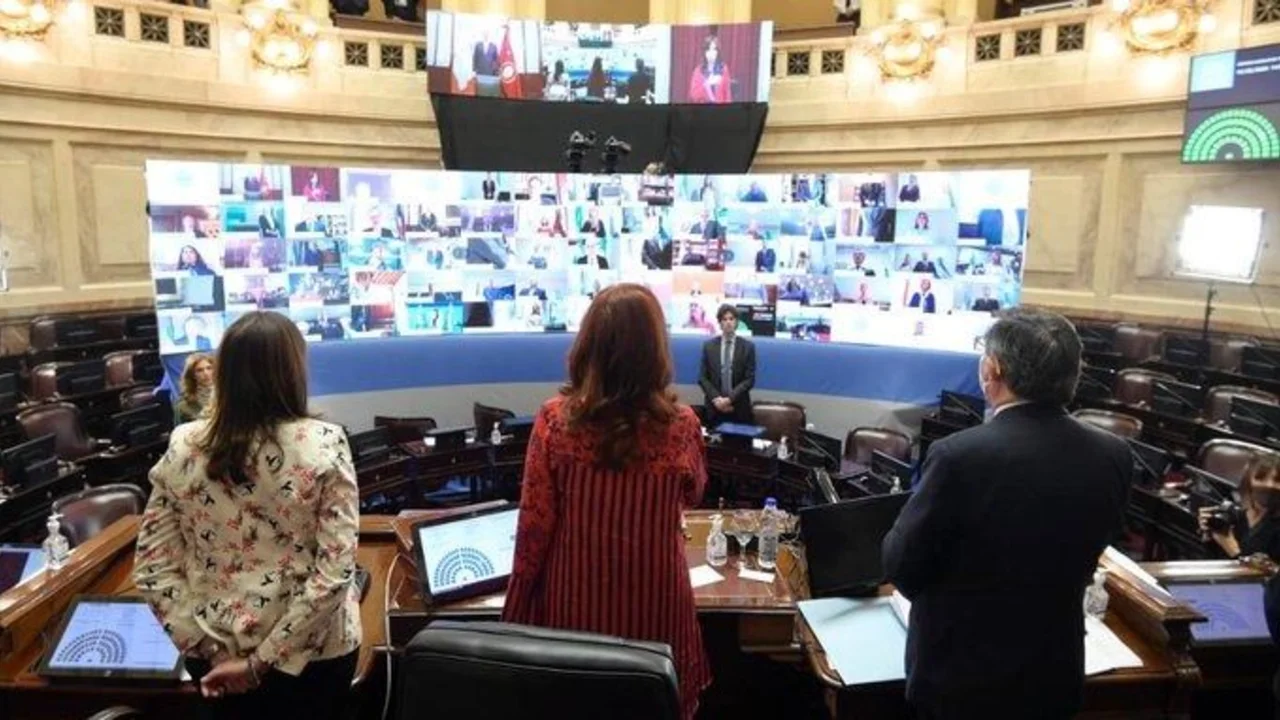 Cristina Kirchner celebró la primer sesión virtual del Senado en la historia del Congreso