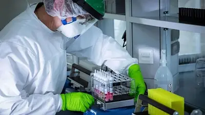 Coronavirus en Argentina: se registraron 14 muertes y 1.842 casos Coronavirus en Argentina: se registraron 14 muertes y 1.842 casos