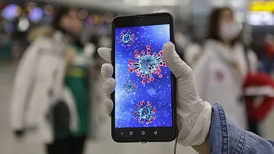 Por qué científicos advierten que el celular es un "caballo de Troya" en medio de la pandemia Por qué científicos advierten que el celular es un "caballo de Troya" en medio de la pandemia