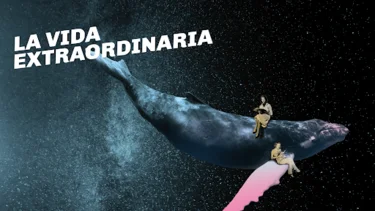 Teatro en casa: 4 obras para ver gratis en Youtube