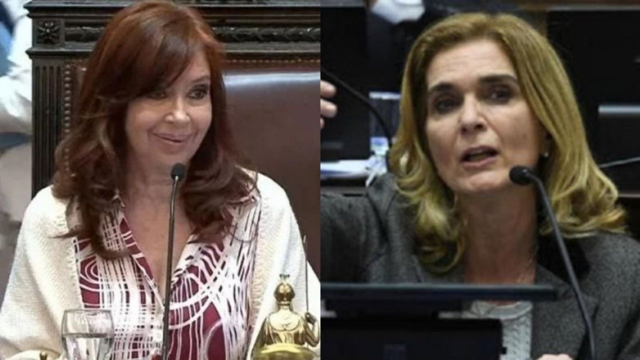 Tras el "Gracias senador" de Cristina Kirchner, Elías de Pérez habló y sorprendió a todos