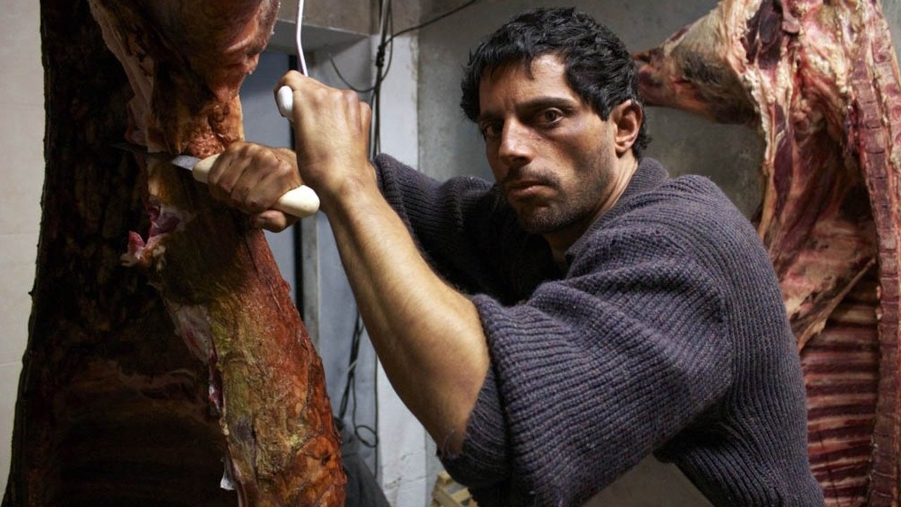 Contar presenta una selección de las películas del Festival Internacional de Cine Político