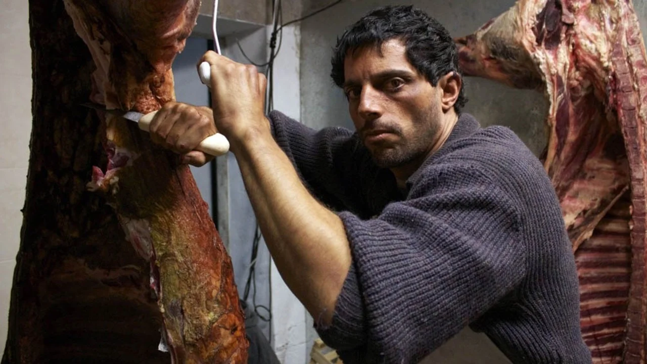 Contar presenta una selección de las películas del Festival Internacional de Cine Político