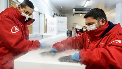 Empezó la distribución de más de 600 mil dosis de Sputnik y ya son más de 10 millones Empezó la distribución de más de 600 mil dosis de Sputnik y ya son más de 10 millones