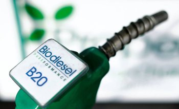 El Gobierno fijo un nuevo aumento en los biocombustibles | Energía