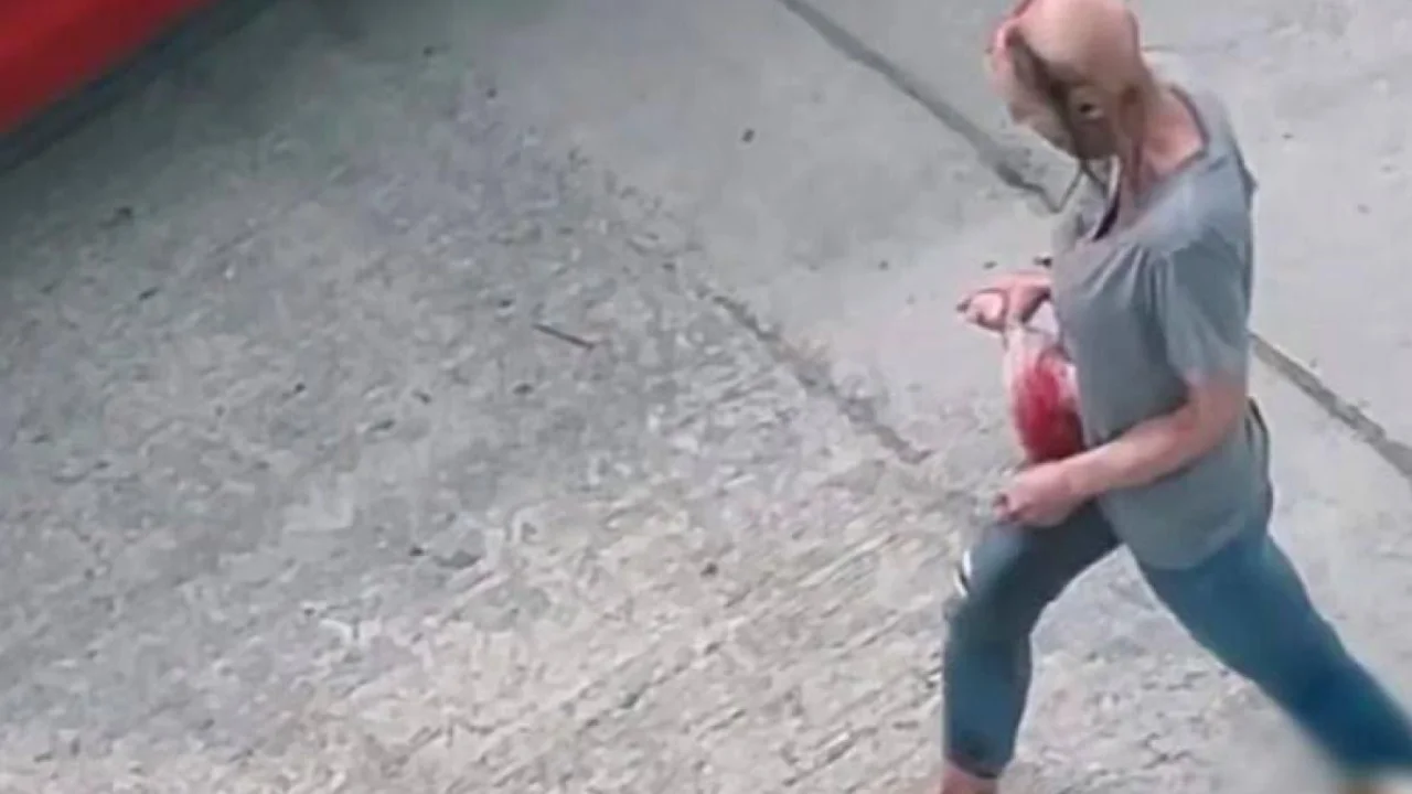 Zombies, video viral, Estados Unidos, TikTok