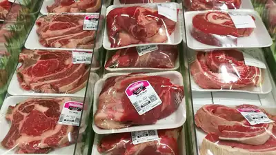 carne carne